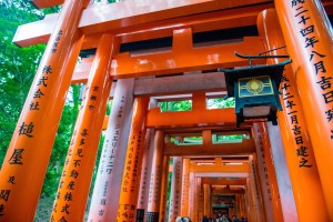 inari shrine, orange shrines